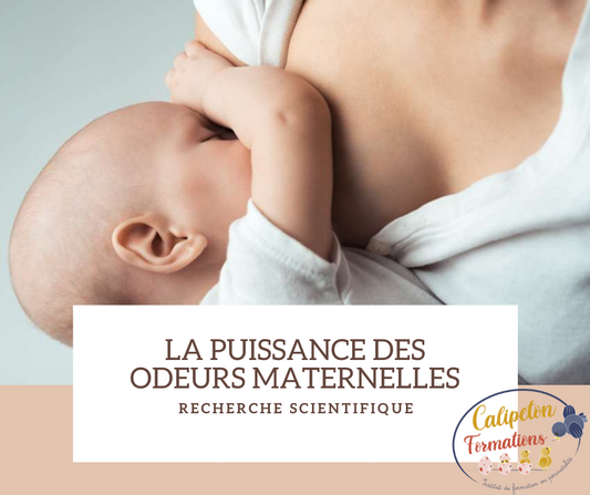 La puissance des odeurs maternelles