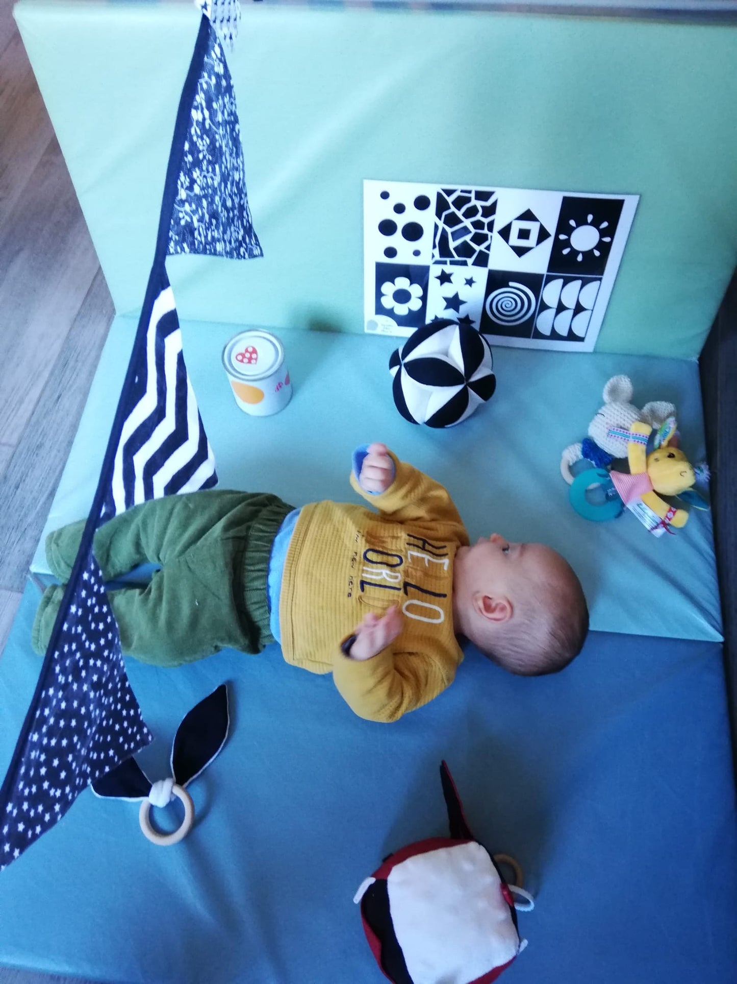 Les bons gestes au quotidien pour le développement neuromoteur du jeune enfant (0-2 ans) dans les lieux d'accueil collectifs