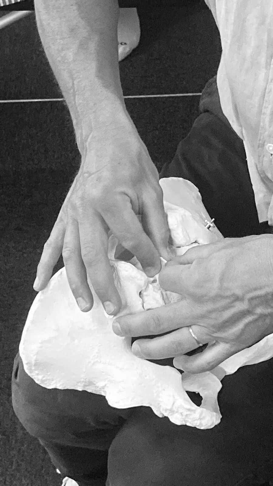 Formation - Des troubles de la fertilité, au suivi de la femme enceinte jusqu'au post-partum