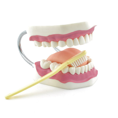 Boîte à outils pour une parfaite santé bucco-dentaire chez l’enfant - 180€