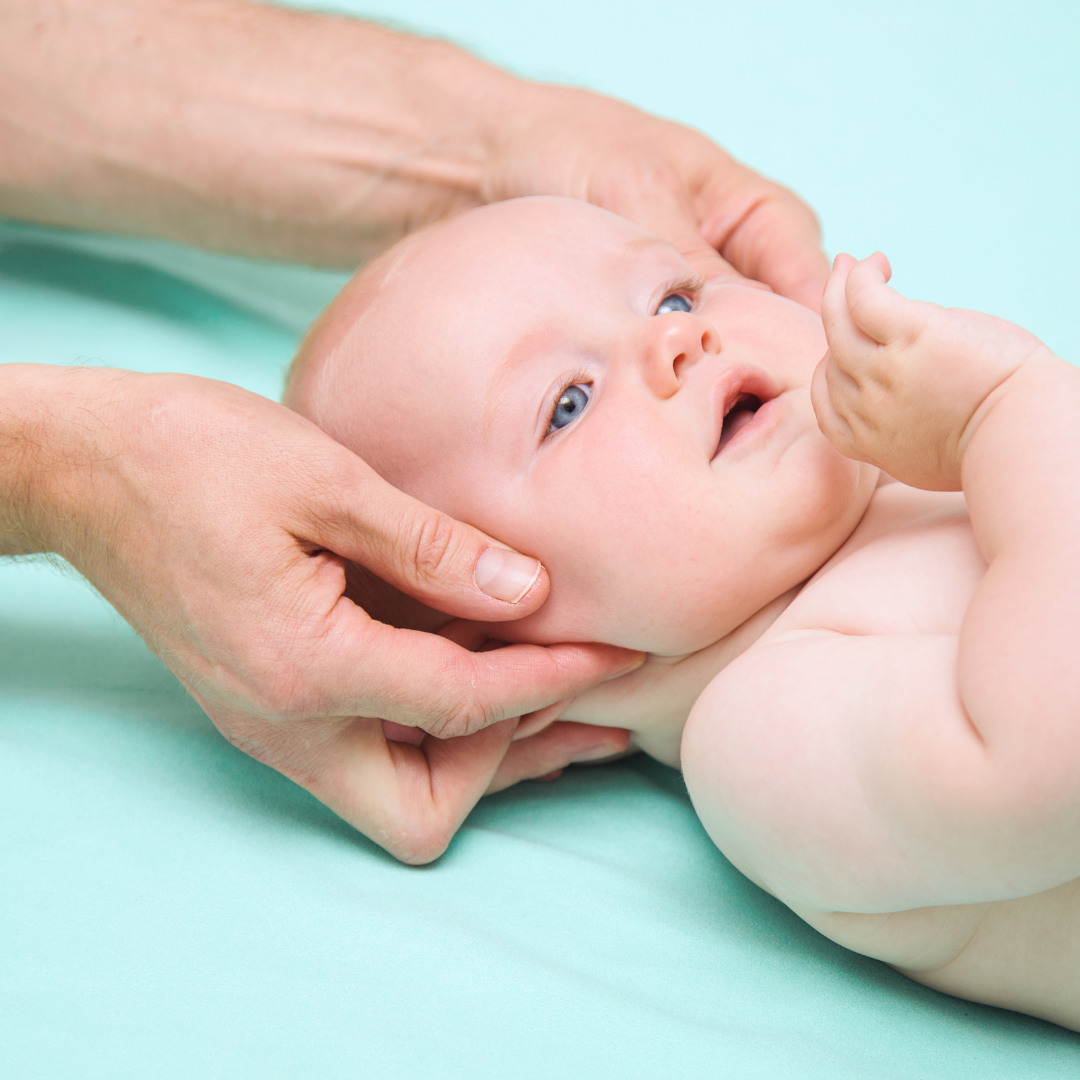 Formation - Prise en charge ostéopathique des déformations crâniennes positionnelles du nourrisson - Bébés Plagio 56 - niveau 2